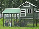 Chicken coops