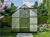 Serre en polycarbonate, 4,75m², 1,9x2,5x2,07m, Noir