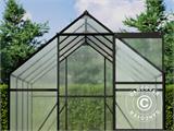 Serre en polycarbonate, 4,75m², 1,9x2,5x2,07m, Noir