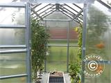 Greenhouse polycarbonate TITAN Dome 320, 25 m², 2.5x10 m, Silver