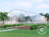 Serre polycarbonate, Strong NOVA 36m², 6x6m, Argent