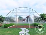 Serre polycarbonate, Strong NOVA 36m², 6x6m, Argent