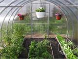 Greenhouse polycarbonate, Strong NOVA 12 m², 3x4 m, Silver