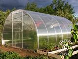 Greenhouse polycarbonate, Strong NOVA 12 m², 3x4 m, Silver