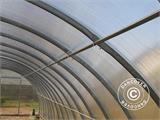 Gewächshaus aus Polycarbonat, Strong NOVA 40m², 4x10m, Silber