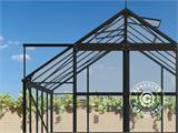 Greenhouse glass 2.44x3.08x2.34 m w/base and cresting, 7.51 m², Black