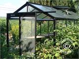 ACD Drivhus glas, FLORA 6,9m², 2,32x2,98x2,35m, Sort