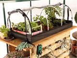 Mini greenhouse propagator JUMBO XXL w/heating mat, 60x130x50 cm, Transparent