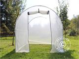 Polytunnel Greenhouse 3x5x2.5 m, Clear