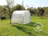 Polytunnel Greenhouse 3x5x2.5 m, Clear