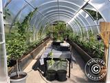 Greenhouse polycarbonate, Strong NOVA 60 m², 6x10 m, Silver