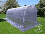 Polytunnel Greenhouse, 2.4x6x2.4 m, PE, 14.4 m², Transparent